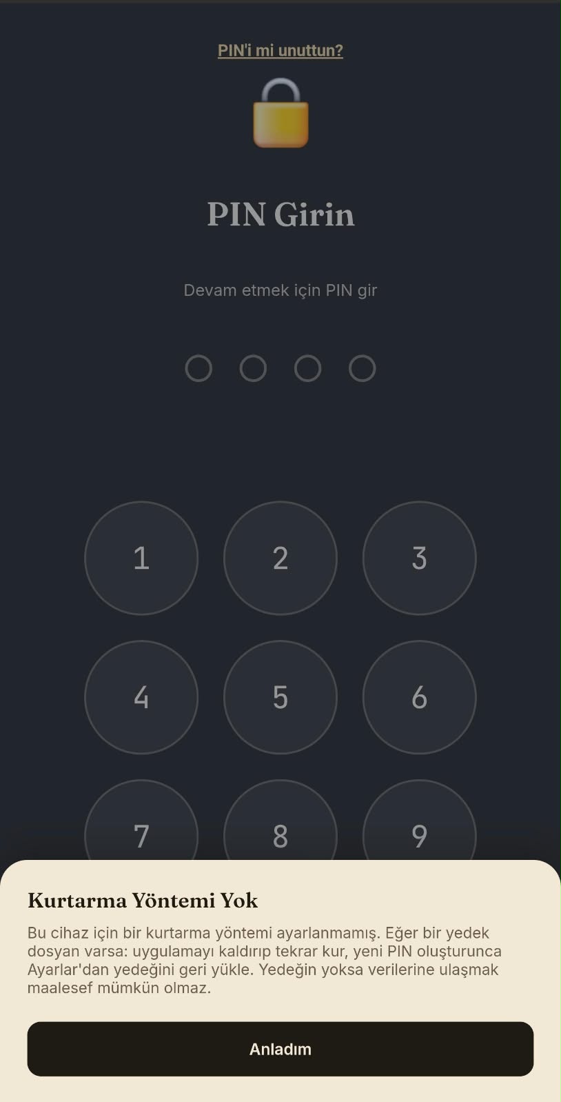 PIN kilit ekranı, koyu tema